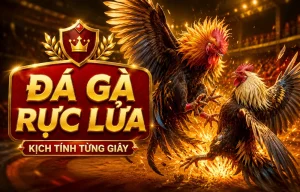 Sảnh Đá Gà goldlandgallery